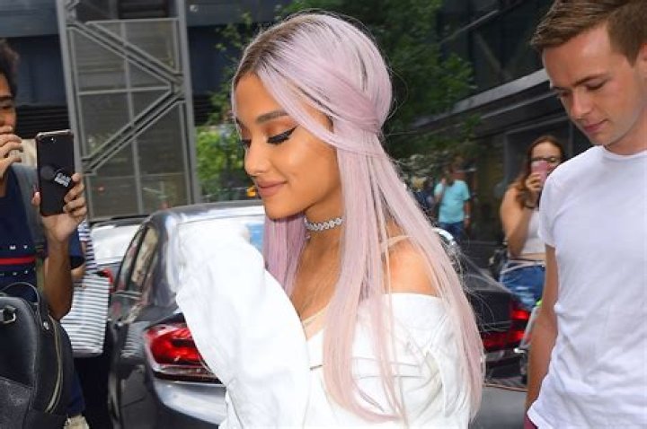 Ariana Grande Favorite Music Food Animal Movie Color Biography