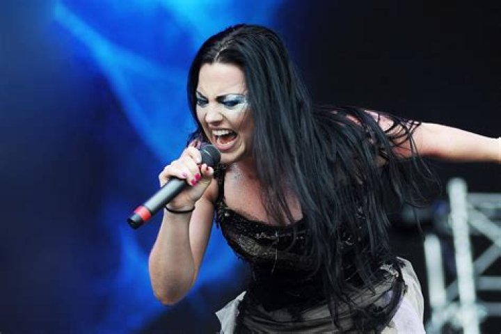 Evanescence Net Worth & Earnings (2024)