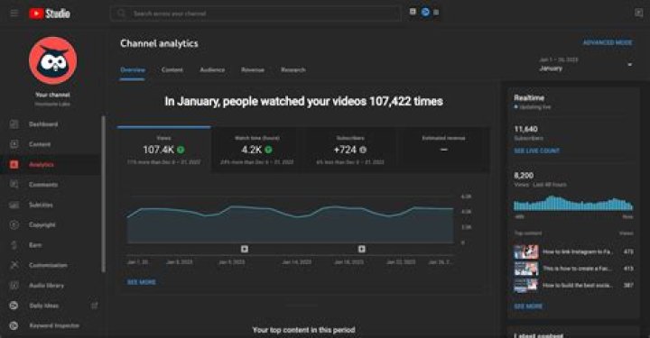 SocksReact Youtuber overview